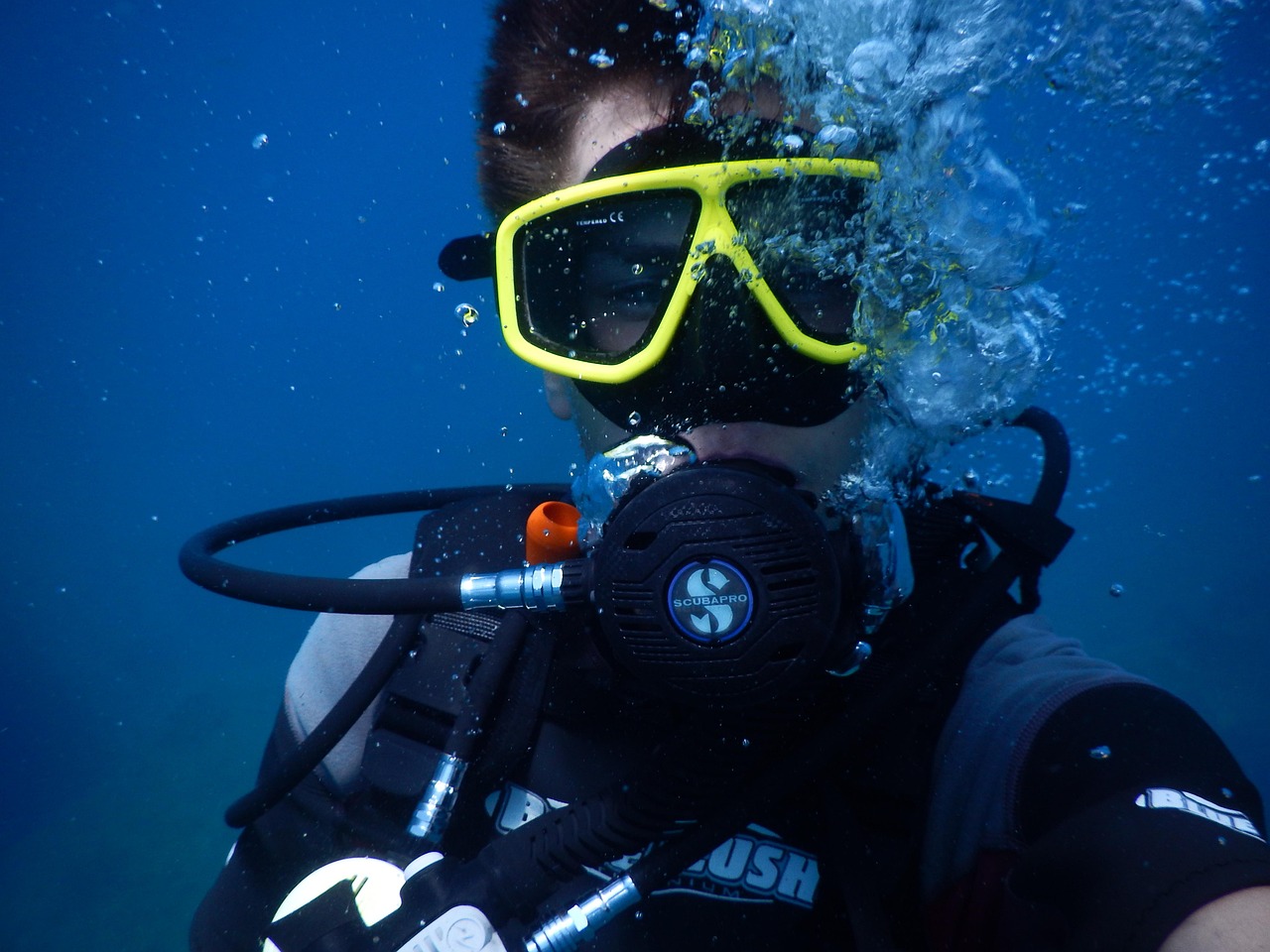 dive-1652869_1280