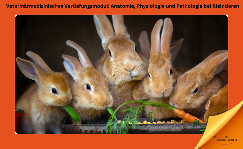 Veterinärmedizinisches Vertiefungsmodul: Anatomie, Physiologie und Pathologie bei Kleintieren