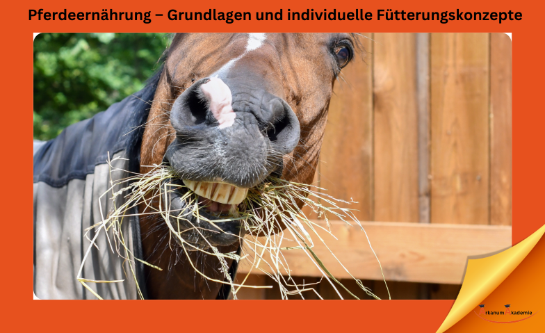 Pferdeernährung – Grundlagen und individuelle Fütterungskonzepte