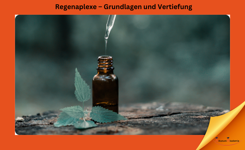 Regenaplexe – Grundlagen und Vertiefung