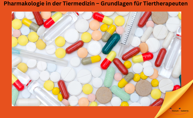 Pharmakologie in der Tiermedizin – Grundlagen für Tiertherapeuten